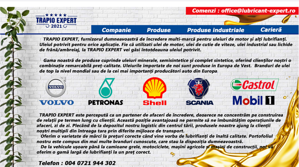 Pagina de baza - descriere firma